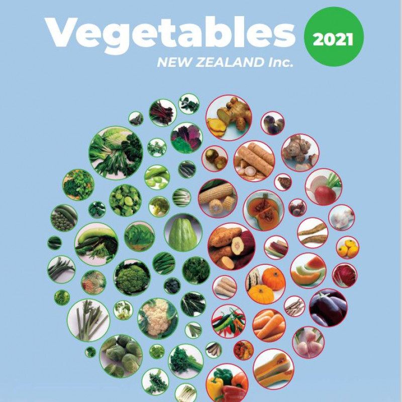 VNZI 2021 Annual report cover