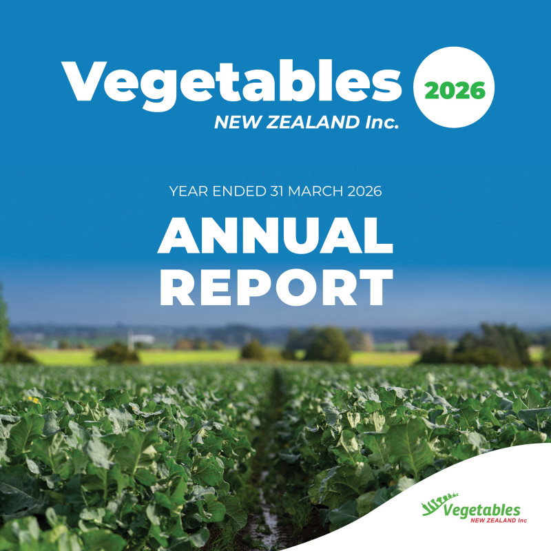 2026 09 10 VNZI 2026 Annual Report Cover   WEBSITE