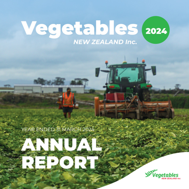 2024 07 16 VNZI Report Cover WEBSITE