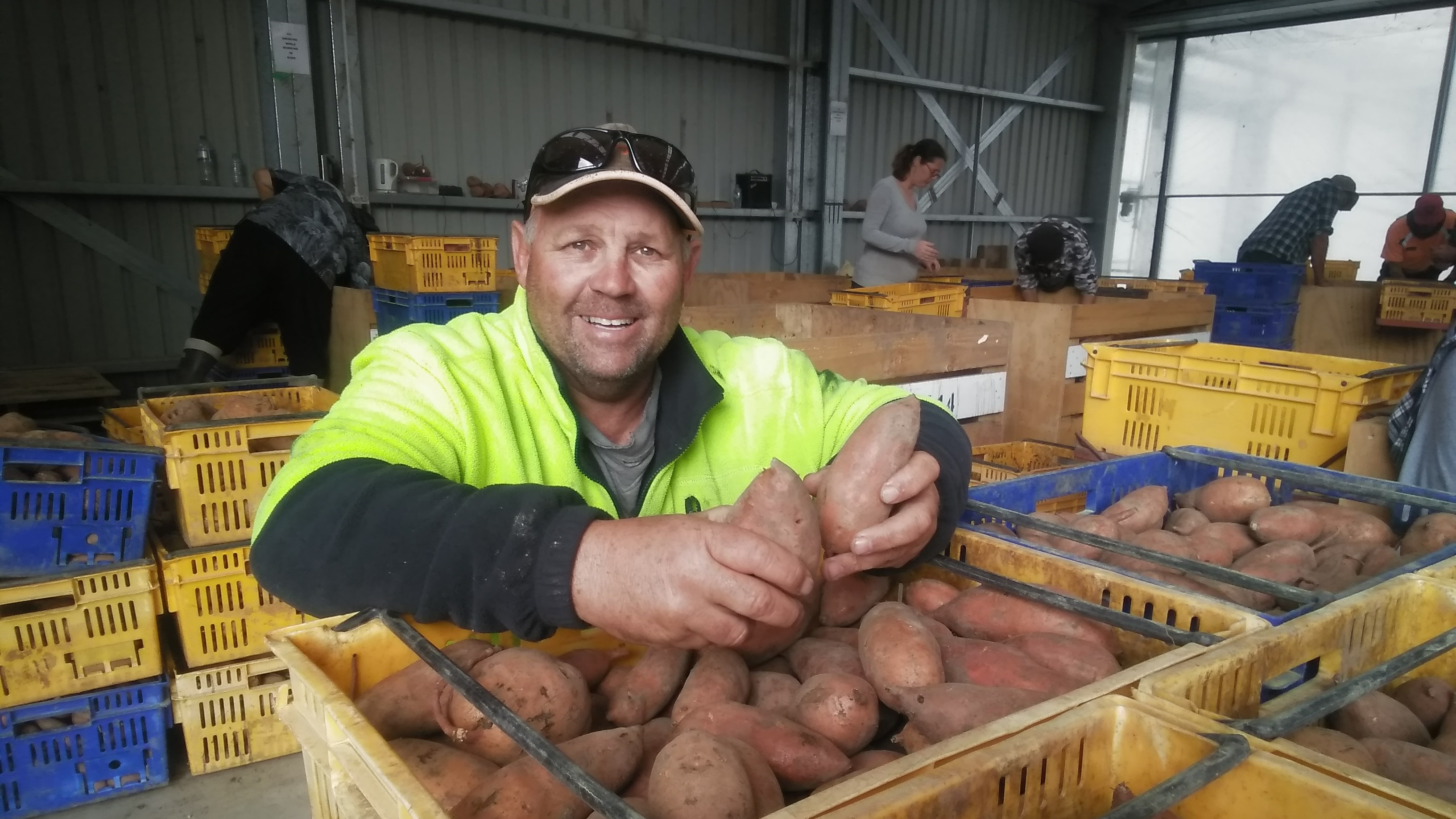 Vegetables NZ Inc. Vegetables NZ Inc