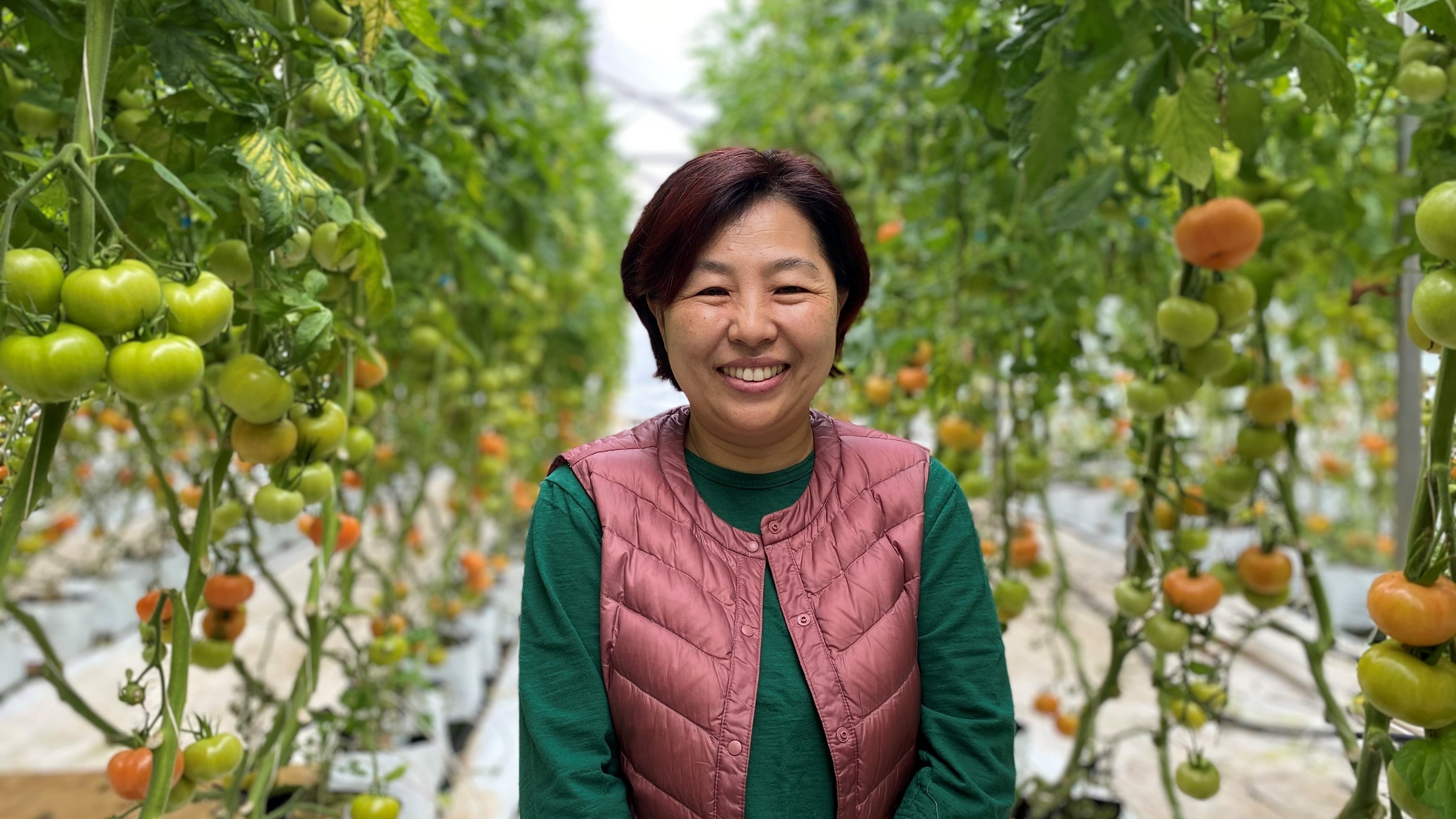 Vegetables NZ Inc. Vegetables NZ Inc