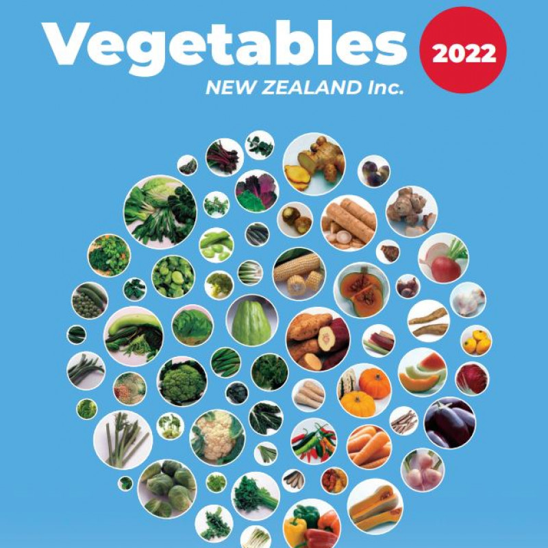 VNZI 2022 Annual report cover