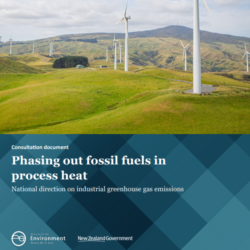 Phasing out fossil fuels in process heat document cover