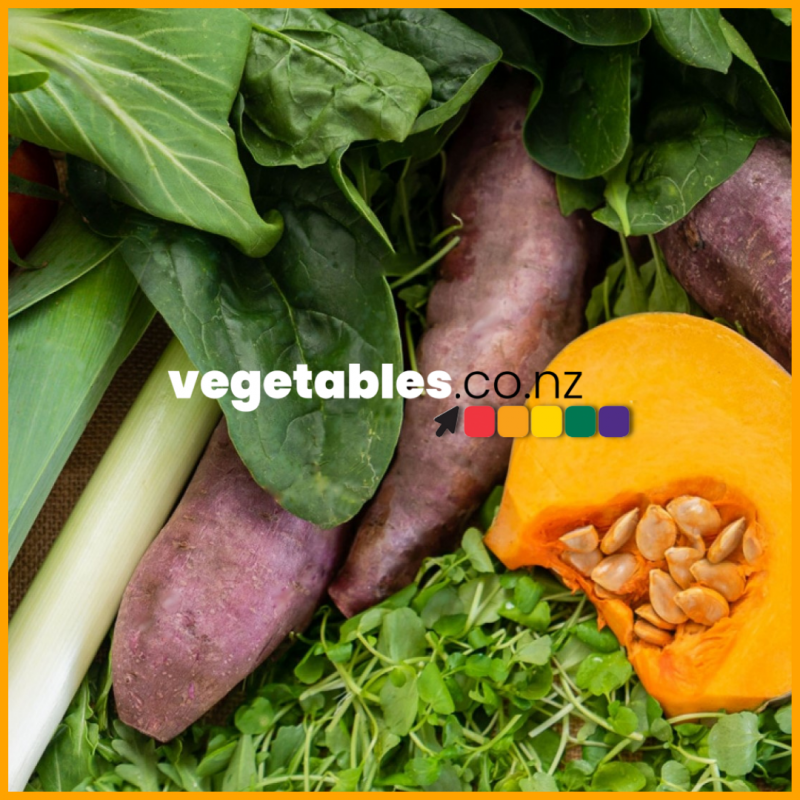 Vegetables.co.nz button Yellow border Square