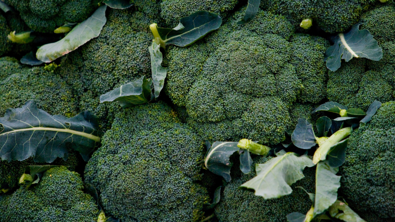 Broccoli