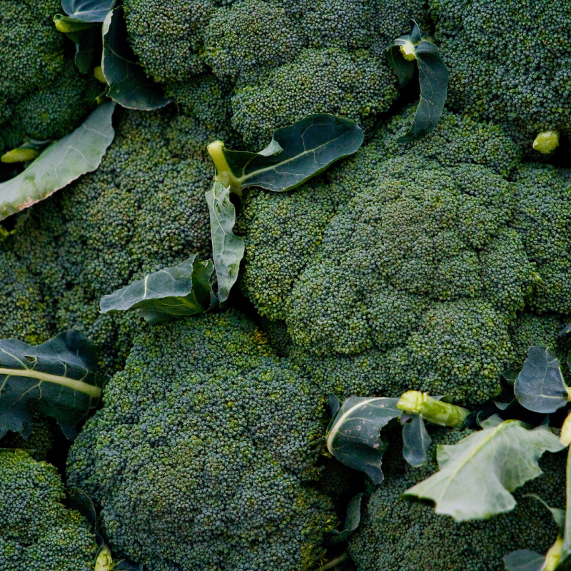 Broccoli