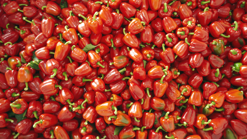 Red Capsicums